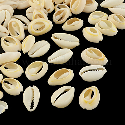 Perles coquillage cauri mélangées naturelles, cauris, papayawhip, 19~24x14~17x5~9mm, environ 340 pcs/500 g