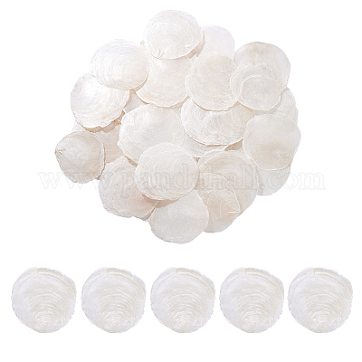 60 шт. натуральные бусины из ракушек капиз FIND-PH0026-67-1