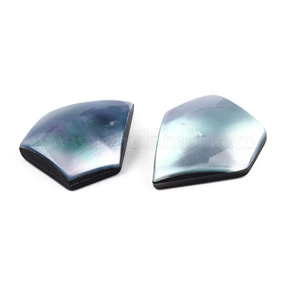 Натуральный турбокорнулус/кабошоны из ракушек SSHEL-N003-155A-1