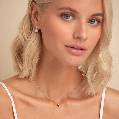 Подвеска с инициалом из нержавеющей стали 304 с латунной цепочкой-коробкой для женщин FS-WG8229D-01-1