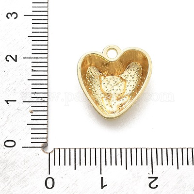 Pendentifs d'émail en alliage&nbsp;ENAM-F151-01G-05-1