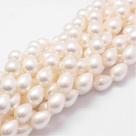 Rainbow Plated Shell Pearl Beads Strands BSHE-L027-01-10x13-1