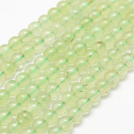 Chapelets de perles en préhnite naturelle G-F461-15-6mm-1
