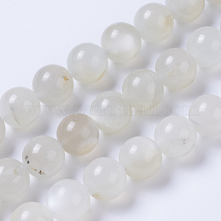 Natürlichen Mondstein Perlen Stränge G-F568-228-10mm-1