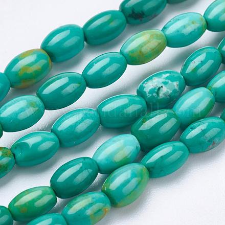 Brins de perles de magnésite naturelle TURQ-K003-01B-1