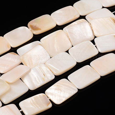 Natural Shell Beads Strands PBB-XXBK033Y-13-1