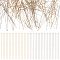 240Pcs 2 Colors 304 Stainless Steel Flat Head Pins, Real Gold Plated & Stainless Steel Color, 70x0.6~0.7mm, Head: 1.5mm, 120pcs/style