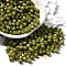 Baking Paint Glass Seed Beads, Bicone, Yellow Green, 4.5x4mm, Hole: 1.1mm, about 142pcs/10g