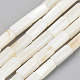 Natural Freshwater Shell Beads Strands SSHEL-R048-006A-1