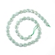 Hilos de perlas de vidrio natural G-I271-B08-8x10mm-2