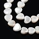 Eau douce naturelle de coquillage perles brins SHEL-N026-220A-3