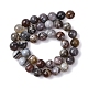Natur Botswana Achat Perlen Stränge&nbsp;G-G453-B01-10mm-3