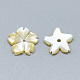 Perles de coquillage jaune SSHEL-S260-073-2