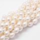Rainbow Plated Shell Pearl Beads Strands BSHE-L027-01-10x13-1