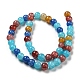 Crackle Glass Beads Strands GLAA-F098-05C-23-2