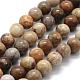 Natural Fossil Coral Beads Strands G-G763-12-10mm-2