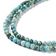 Chapelets de perles en turquoise de HuBei naturelle G-M411-A02-02-3