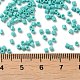 Opaque Glass Seed Beads SEED-S042-22B-04-4