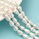 Chapelets de perles en coquille électrolytique BSHE-G010-6x9mm-01A-2