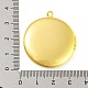 Acumular colgantes medallón de latón chapado KK-M263-03G-3