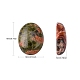 Cabochons en pierres gemmes X-G-H1596-18x13x5mm-M-3