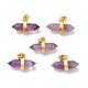Natural Amethyst Double Terminal Pointed Pendants G-P481-01G-08-1