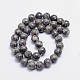 Round Natural Fossil Bead Strands G-L419-49B-2