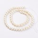 Natural Cultured Freshwater Pearl Beads Strands PEAR-D187-47-2
