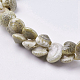Chapelets de perles en coquillage naturel BSHE-K012-05-3