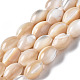 Fili di perle di conchiglia trochid naturale / trochus SSHEL-S266-021B-02-1