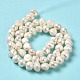 Natural Cultured Freshwater Pearl Beads Strands PEAR-E017-18-3