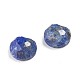 Naturales lapis lazuli cabochons G-F680-G06-2
