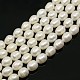 Natural Cultured Freshwater Pearl Beads Strands PEAR-N002-01A-3
