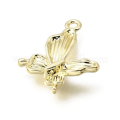 Aluminium Anhänger & Charms&nbsp;PALLOY-B016-01B-G