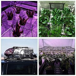 Эластичная сетка-сетка&nbsp;AJEW-WH0113-68