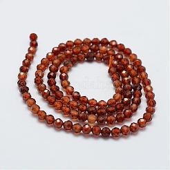 Granato naturale fili di perle&nbsp;G-G663-03-3mm
