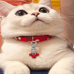 6 шт. 6 цвета латунные подвески-колокольчики украшения&nbsp;KEYC-LP0001-47