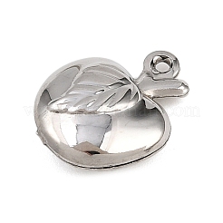 Подвески из нержавеющей стали 304 с фруктами STAS-P418-03A-P