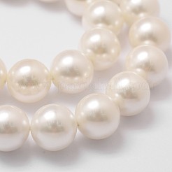 シェルパールビーズ連売り  グレードA  ラウンド  フローラルホワイト  14mm  穴：1mm  約28~29個/連  16インチ&nbsp;X-BSHE-L026-03-14mm