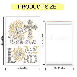 Стекла исправление горный хрусталь&nbsp;DIY-WH0303-300