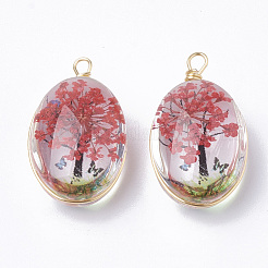 Стеклянные подвески GLAA-Q070-004