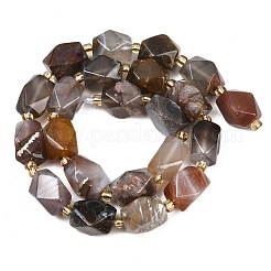 Природные Ботсвана агат бисер нитей&nbsp;G-P611-B01-01