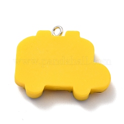 Подвески из смолы&nbsp;RESI-F027-06