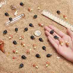 50 шт. 2-цветная миниатюрная смоляная миниатюрная черепаха для украшения витрины AJEW-CP0005-47