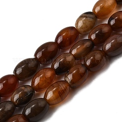 天然石ペトリファイドウッドビーズ連売り  オーバル  サドルブラウン  8~8.5x6~7mm  穴：0.7~0.8mm  約49~50個/連  15.75''（40センチメートル）&nbsp;G-K362-I12-02