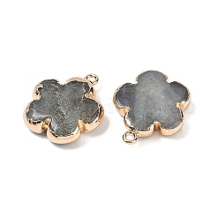 Природные подвески лабрадорита&nbsp;G-P566-01G-08