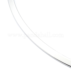 Не тускнеющие ожерелья из нержавеющей стали 304 NJEW-Z039-01P