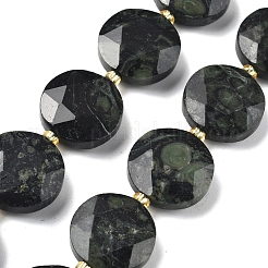 Натуральные пряди камбабы из яшмы G-C116-A170-03