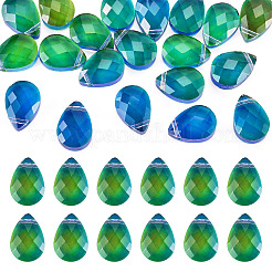 Glas Anhänger / charms&nbsp;GLAA-TAC0012-28A