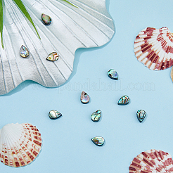 10 шт. бусины из ракушек абалона/пауа SSHEL-FI0001-01